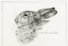 2023 Year of Rabbit